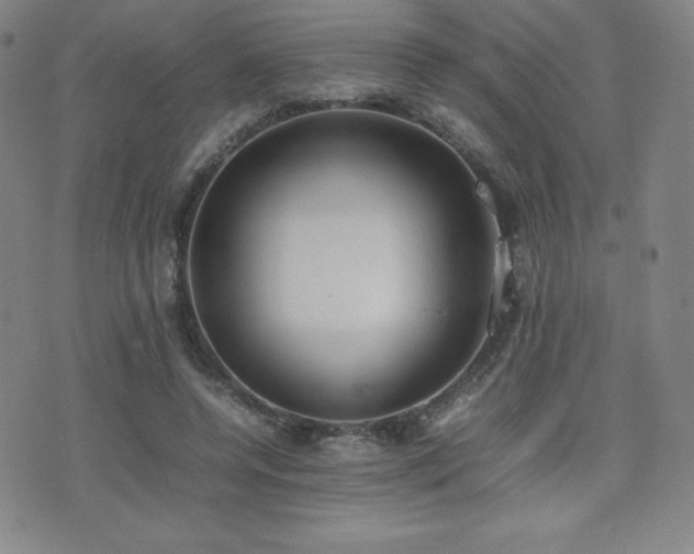 X0000077280544200610201111