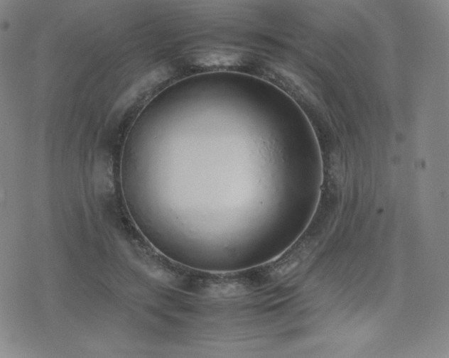 X0000077280547200610201111