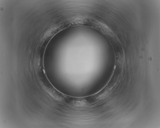 X0000077280548200610201111
