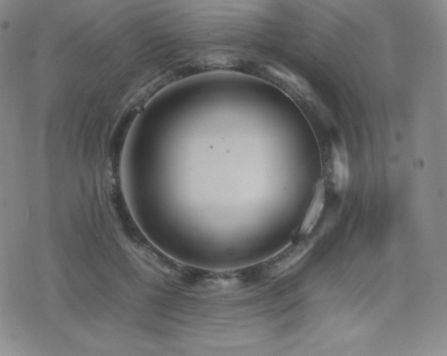 X0000077280552200610201111