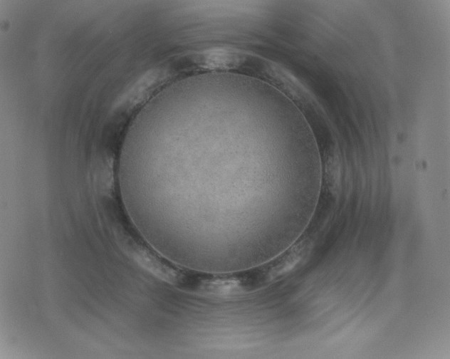 X0000077280554200610201111