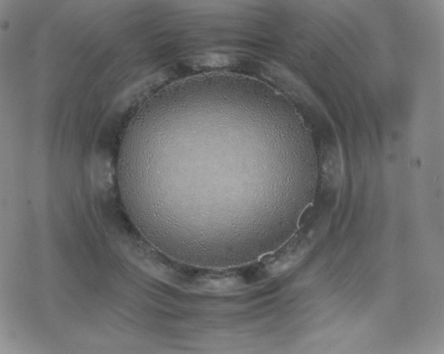 X0000077280555200610201111