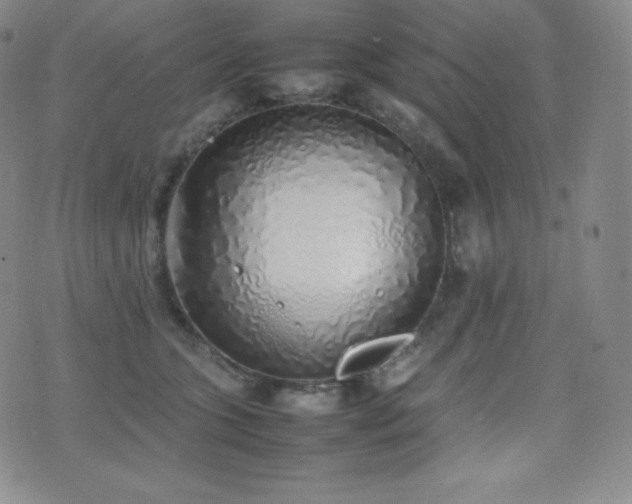 X0000077280563200610201111