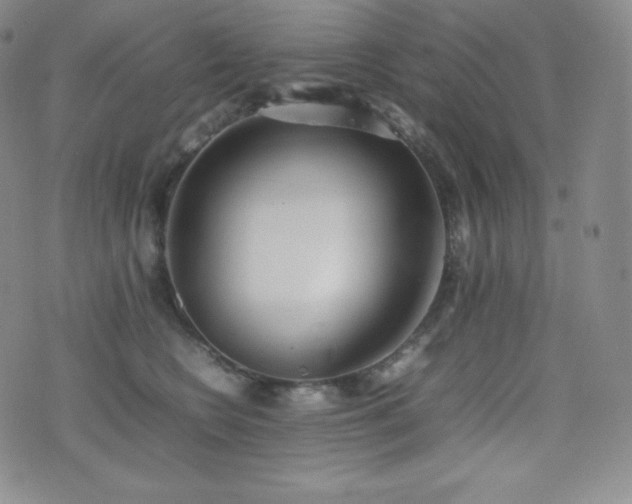 X0000077280566200610201111