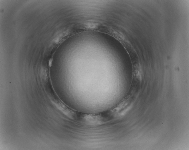 X0000077280568200610201111