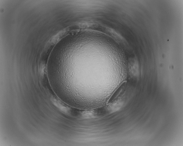X0000077280574200610201112