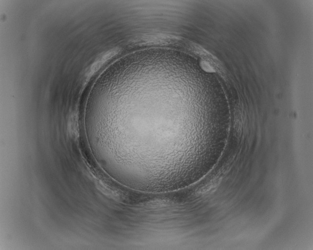 X0000077280578200610201111