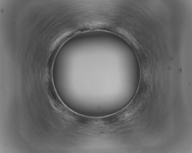 X0000077280583200610201111