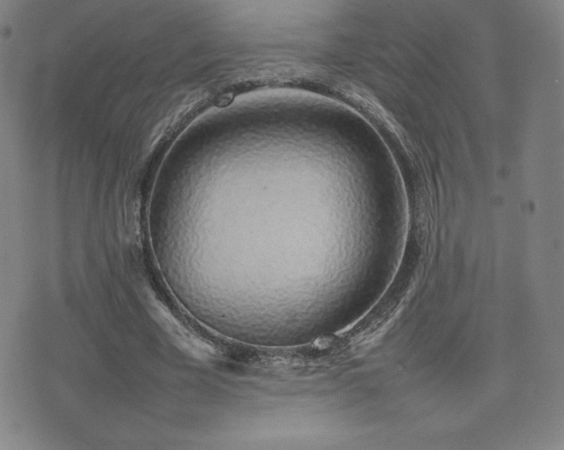X0000077280585200610201111