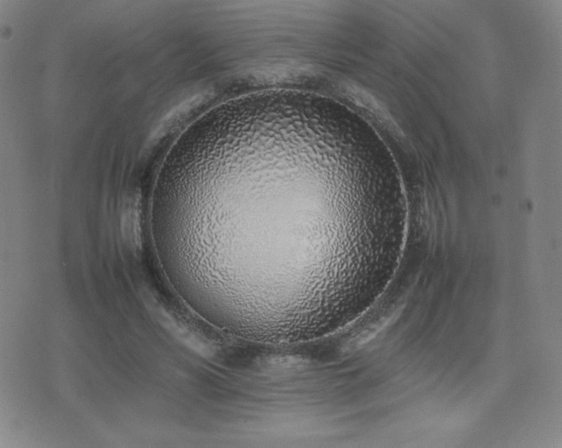X0000077280590200610201111