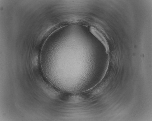 X0000077280596200610201110
