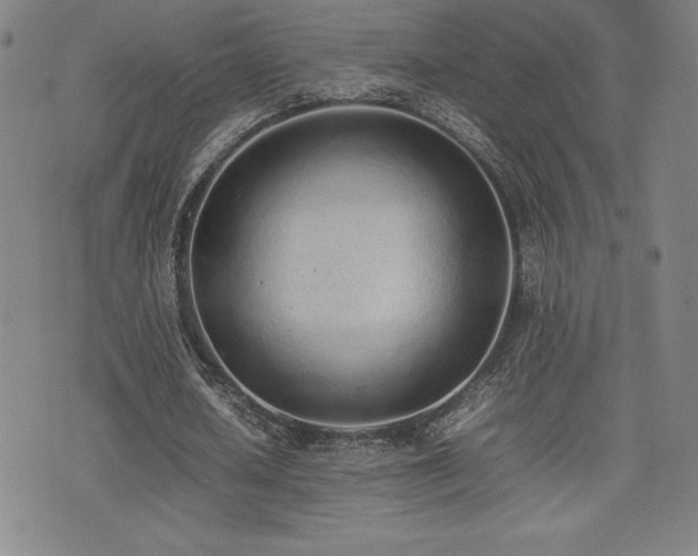 X0000077280626200610201109