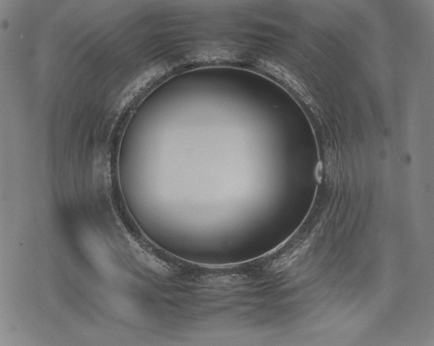 X0000077280629200610201109