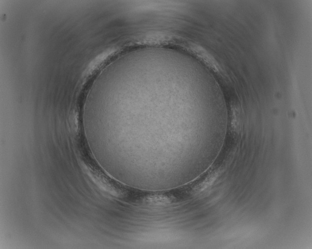 X0000077280636200610201109