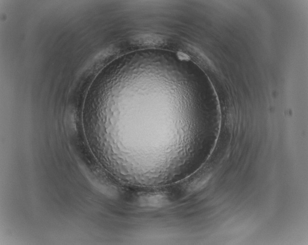 X0000077280643200610201110