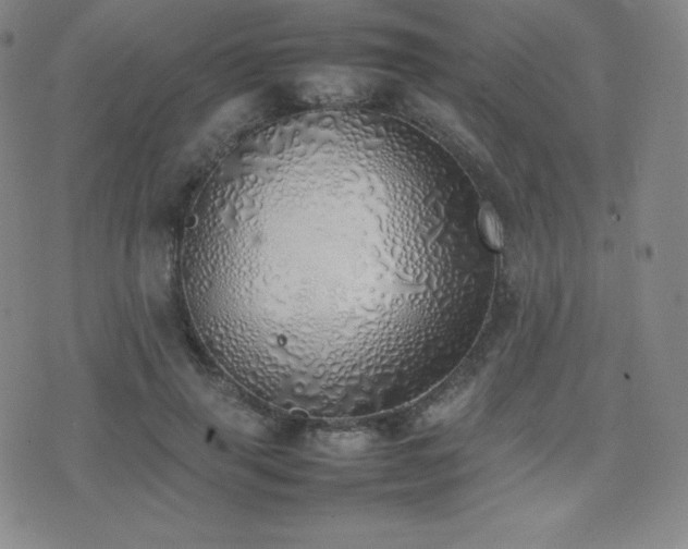 X0000077280645200610201110