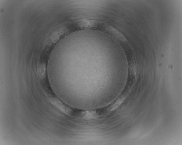 X0000077280660200610201110