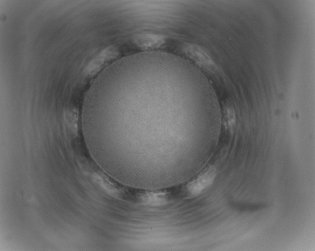 X0000077280664200610201110