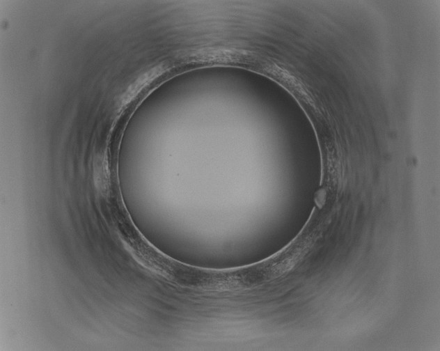 X0000077280674200610201109