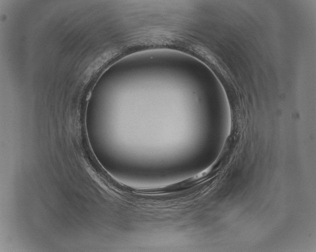 X0000077280677200610201109