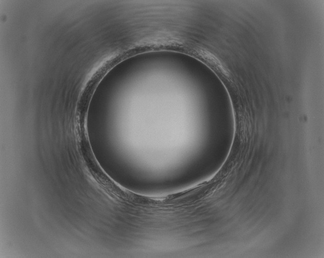 X0000077280680200610201109