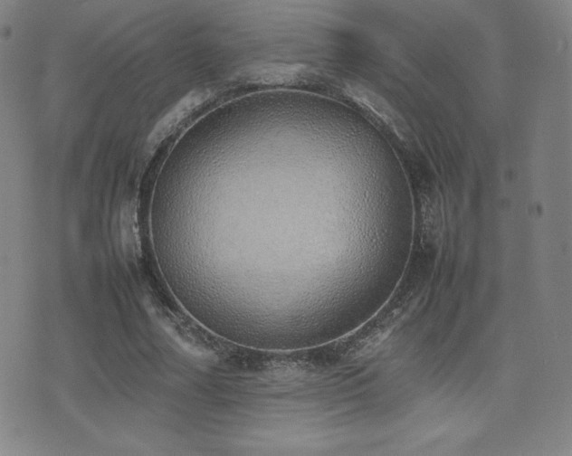 X0000077280682200610201109