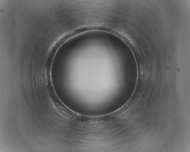 X0000077280684200610201109