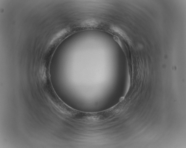 X0000077280692200610201109