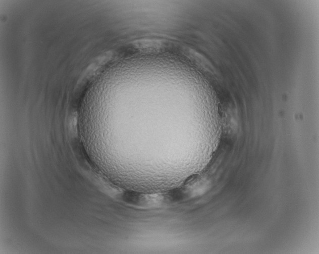 X0000077280717200610201109