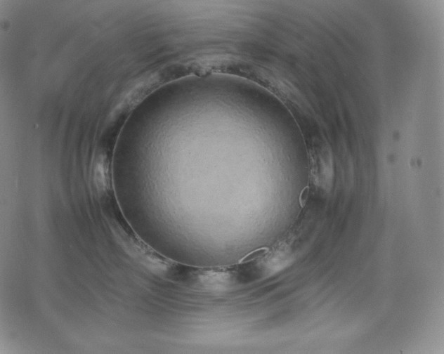 X0000077280718200610201109