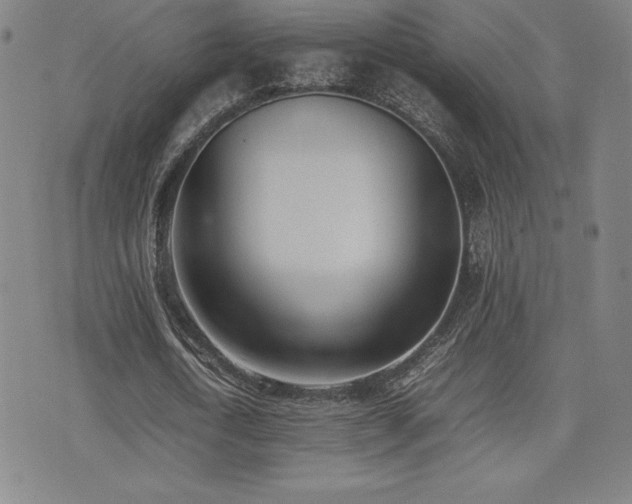 X0000077280722200610201108