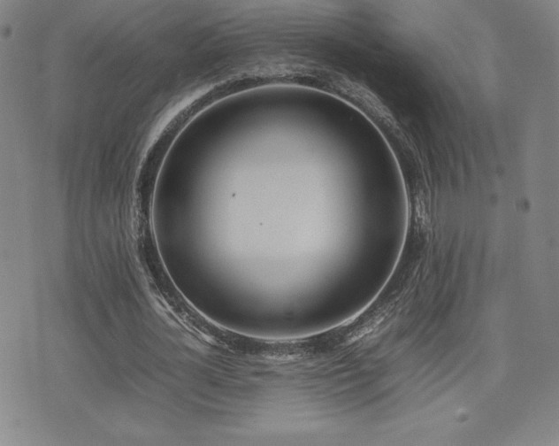 X0000077280724200610201108
