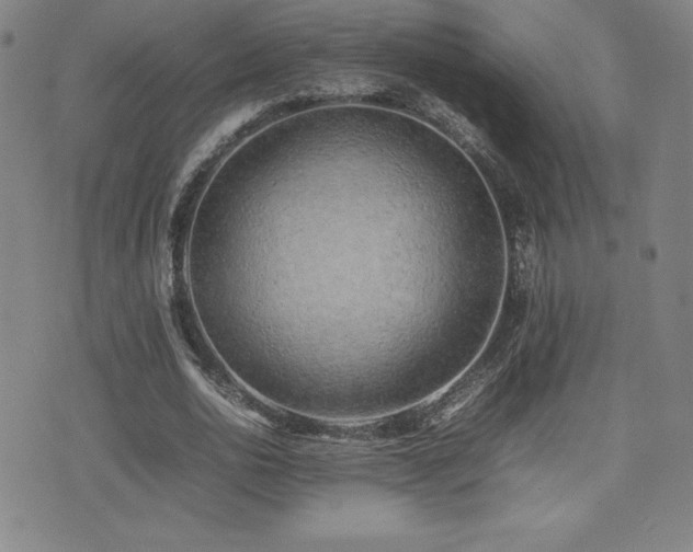 X0000077280726200610201108
