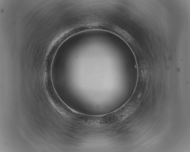 X0000077280728200610201108