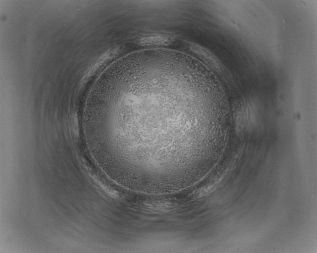 X0000077280729200610201108