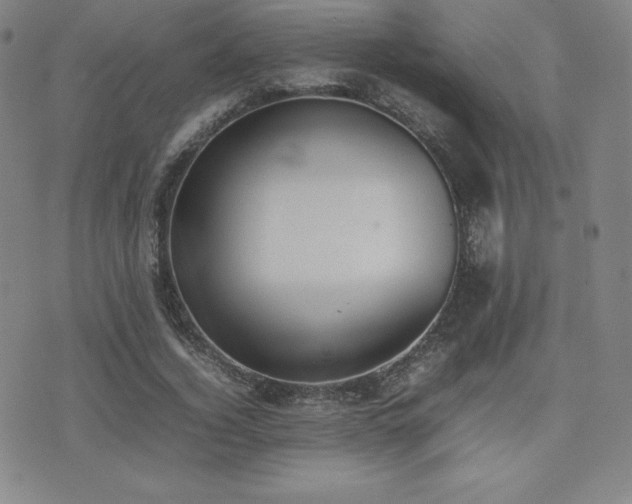 X0000077280732200610201108