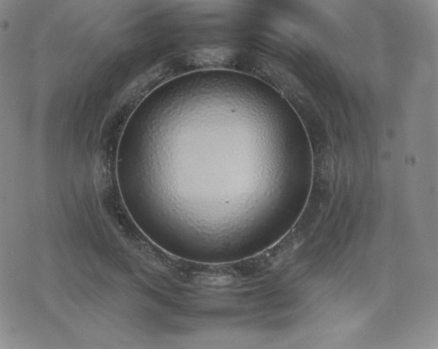 X0000077280743200610201108