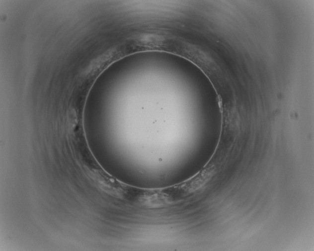 X0000077280752200610201108