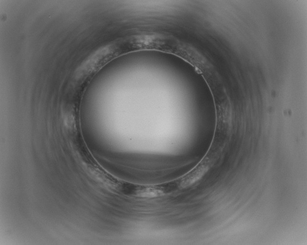 X0000077280754200610201108