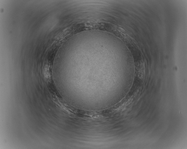 X0000077280770200610201108
