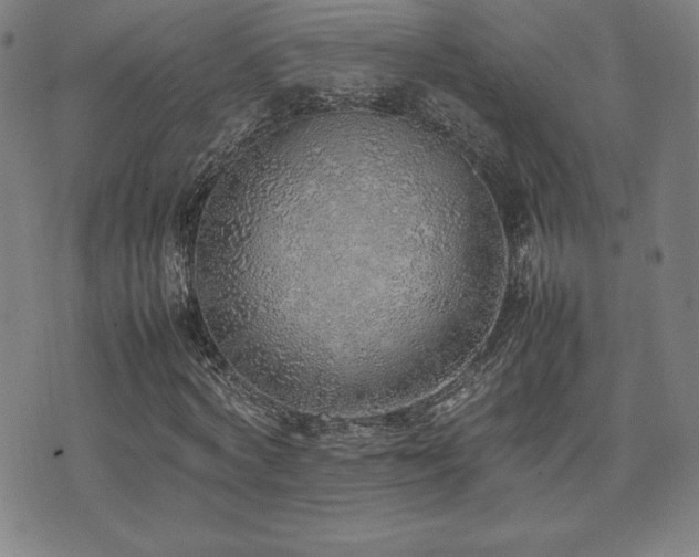 X0000077280772200610201108