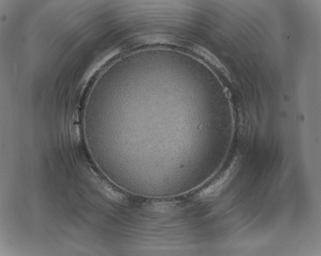 X0000077280782200610201107