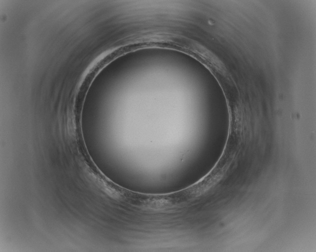 X0000077280784200610201107