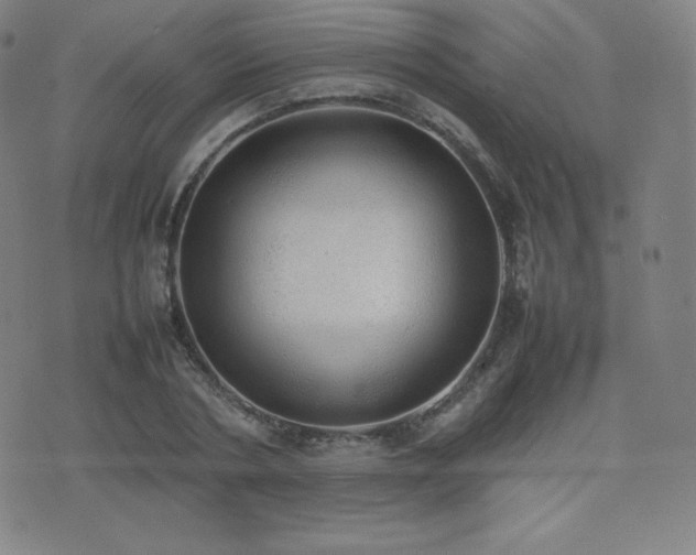 X0000077280786200610201107