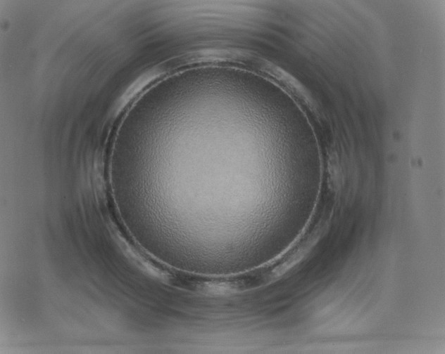 X0000077280794200610201107