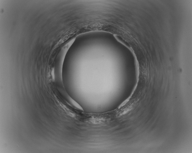 X0000077280818200610201106