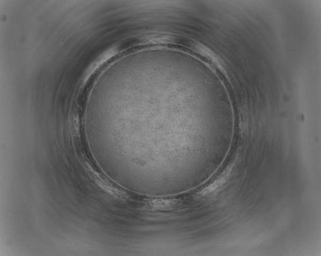 X0000077280827200610201106