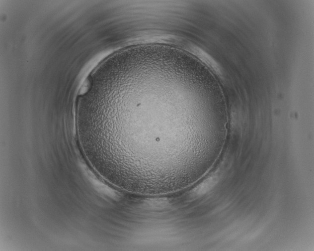 X0000077280844200610201107