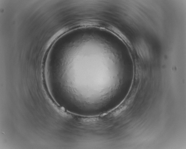 X0000077280853200610201107