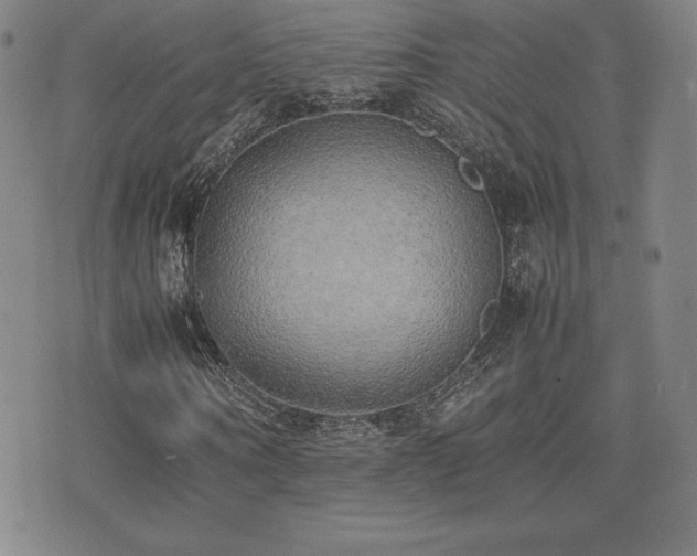 X0000077280866200610201106